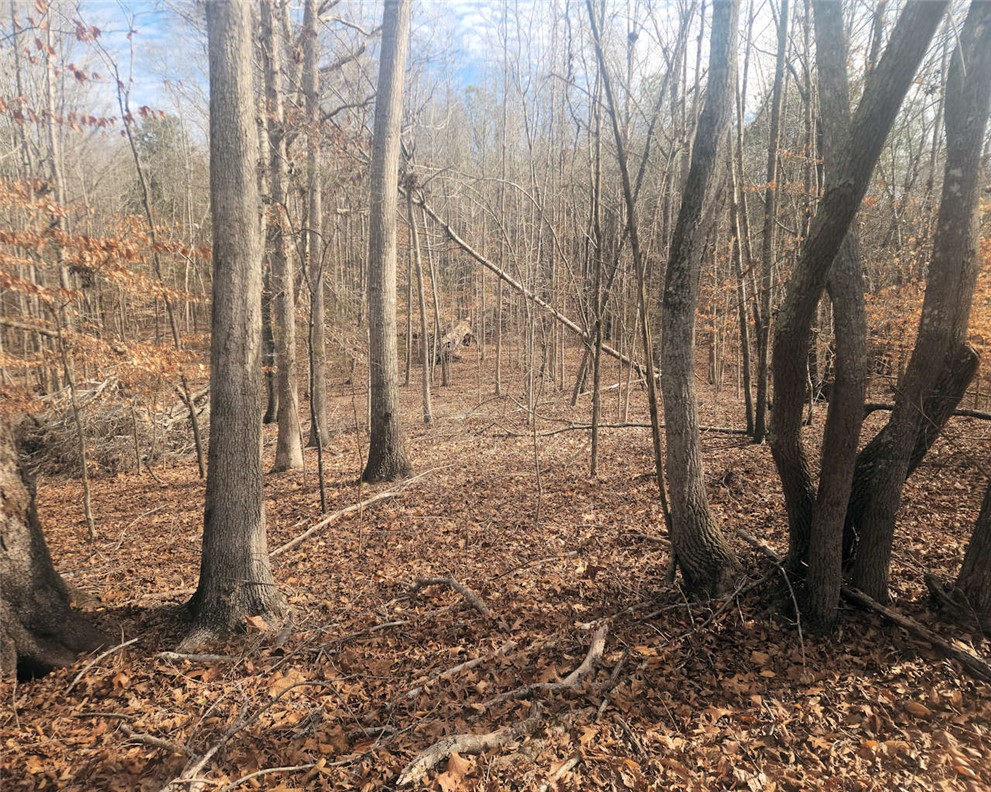 0 25th Highway Ware Shoals, SC 29692 - Photo 10 of 27