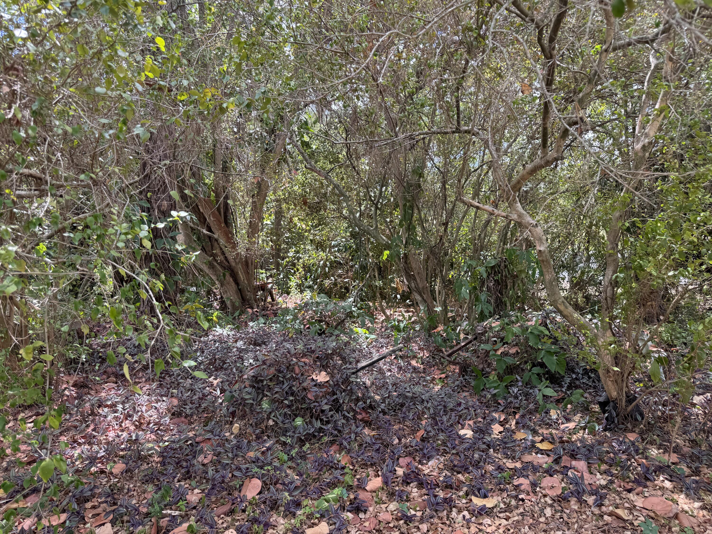 3358 Jog Road Greenacres, FL 33467 - Photo 2 of 15 IMG_4617