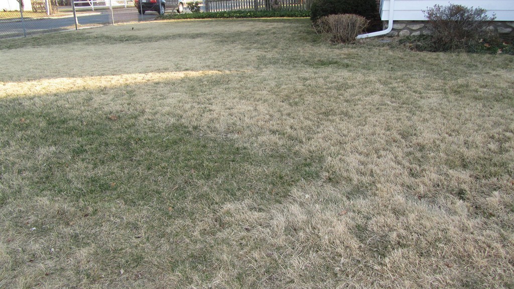 3 Chatham Village Road Worcester, MA 01606 - Photo 28 of 29 Gallery Image 28