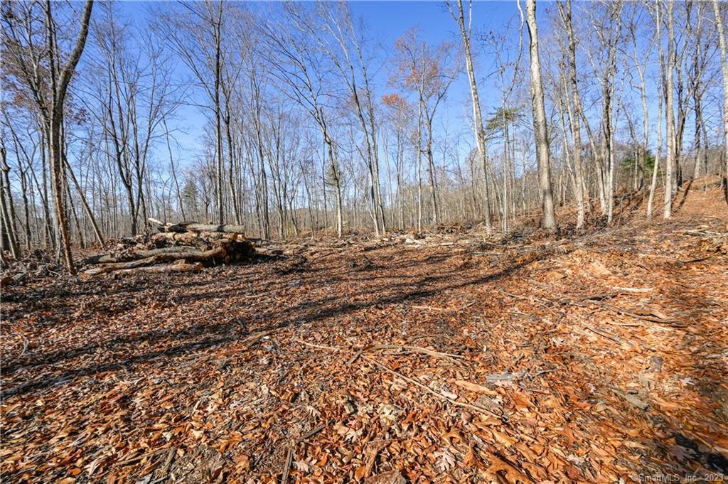 0 Clint-Eldredge Road Willington, CT 06279 - Photo 1 of 1 Gallery Image 1