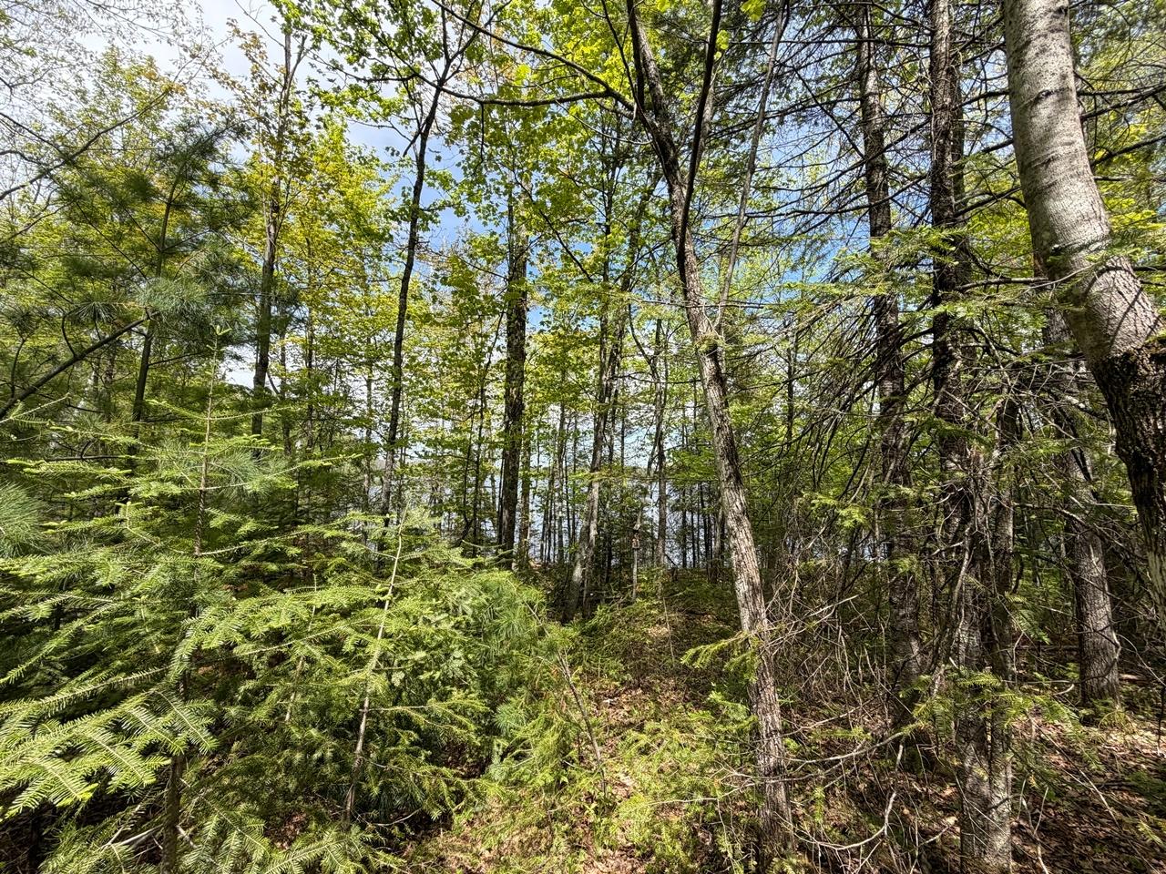 Lot 6 Cth H Mercer, WI 54547 - Photo 8 of 17 Gallery Image 8