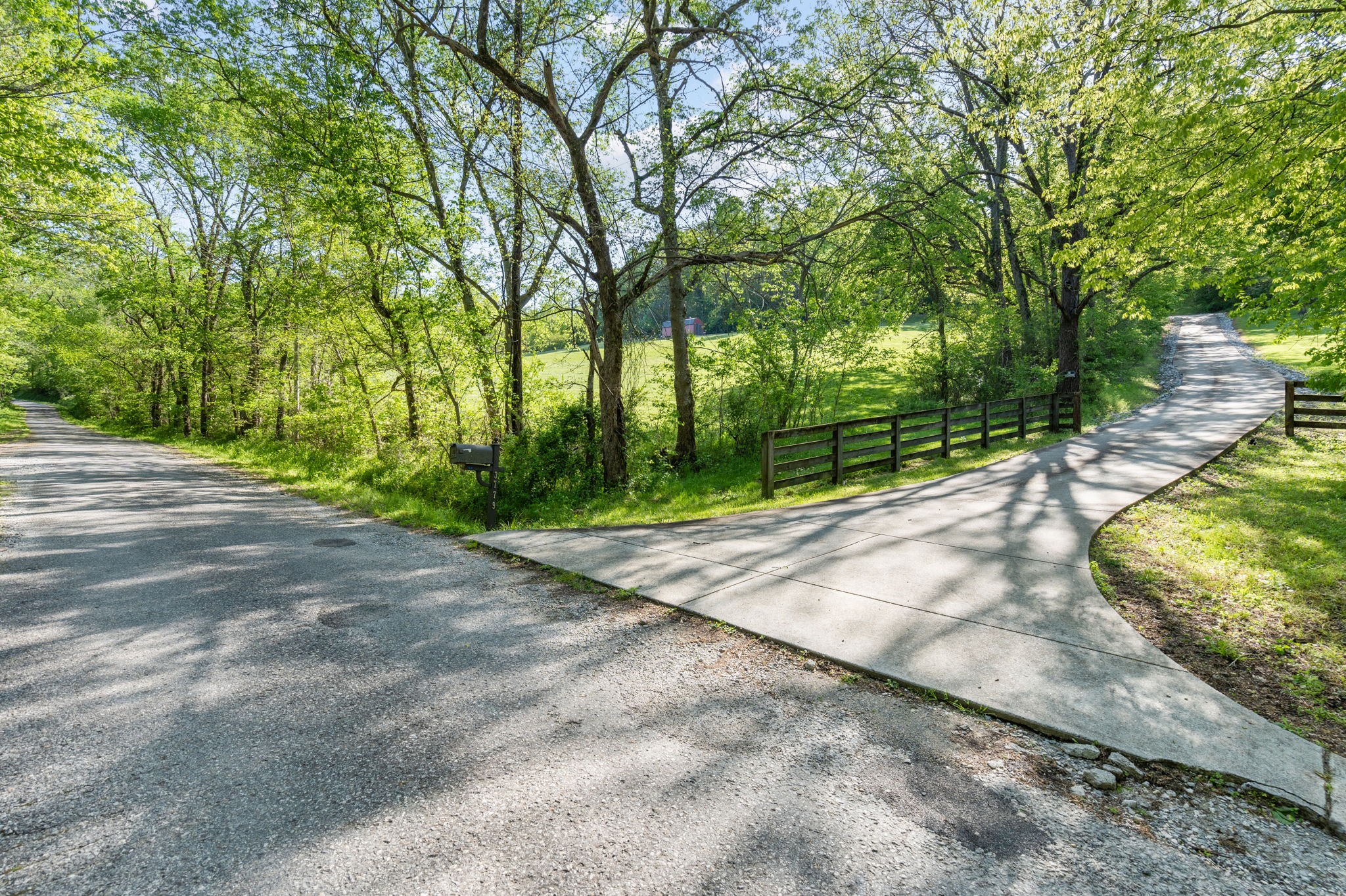3779 Raleigh-Elam Road Santa Fe, TN 38482 - Photo 59 of 63 a view of a yard with plants and large trees