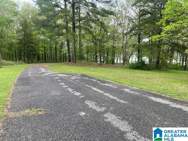 10 Lonesome Pine Trail Riverside, AL 35135 - Photo 3 of 4