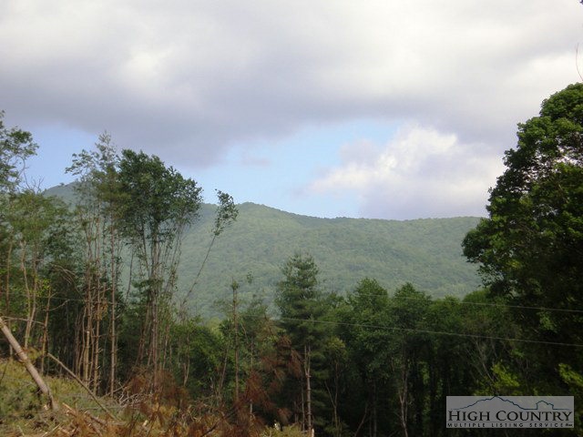 306 Trivette Hollow Road Creston, NC 28615 - Photo 2 of 24 Gallery Image 2