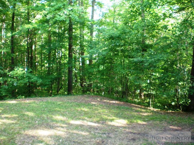 306 Trivette Hollow Road Creston, NC 28615 - Photo 10 of 24 Gallery Image 10