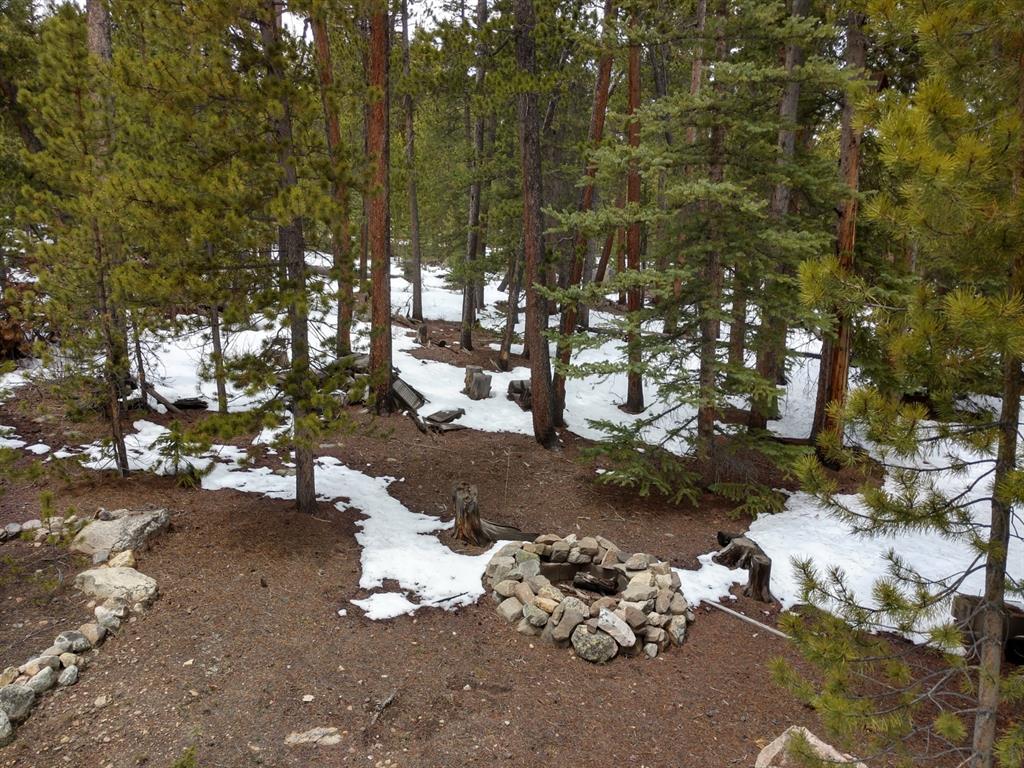 78 Dry Gulch Road Fairplay, CO 80440 - Photo 26 of 34 Gallery Image 26