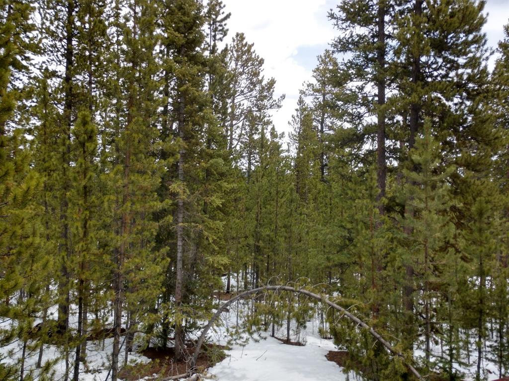 78 Dry Gulch Road Fairplay, CO 80440 - Photo 27 of 34 Gallery Image 27
