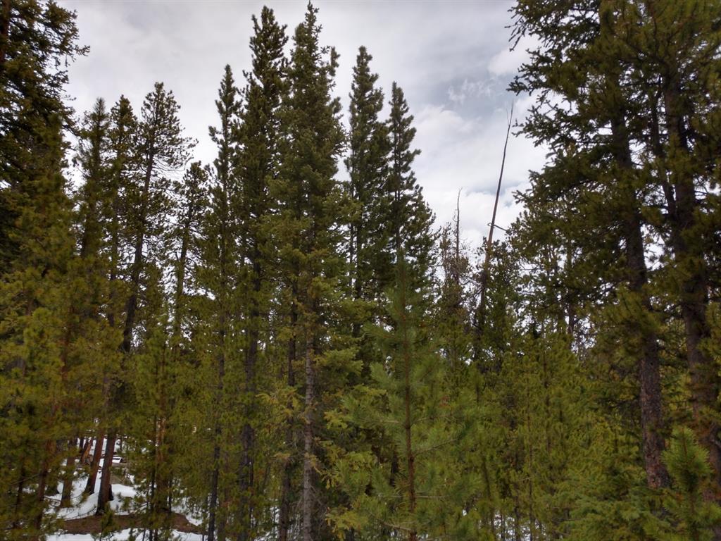 78 Dry Gulch Road Fairplay, CO 80440 - Photo 28 of 34 Gallery Image 28
