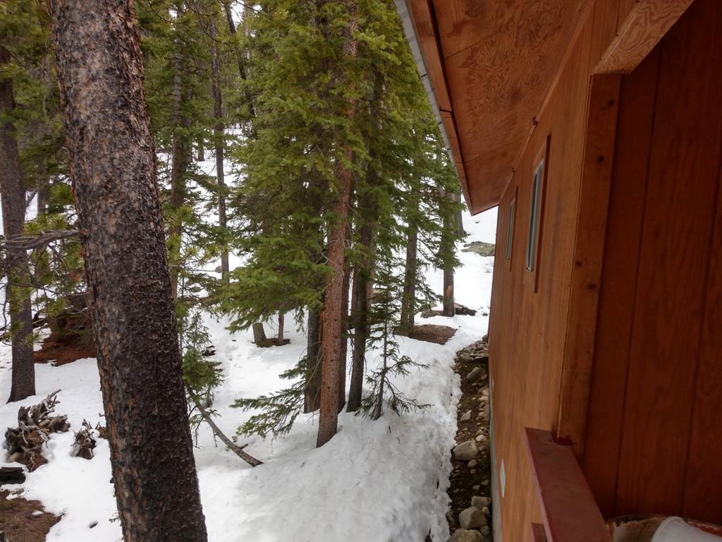 78 Dry Gulch Road Fairplay, CO 80440 - Photo 29 of 34 Gallery Image 29