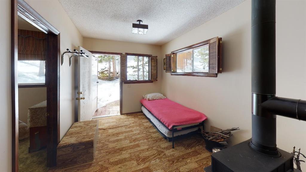 78 Dry Gulch Road Fairplay, CO 80440 - Photo 3 of 34 Gallery Image 3