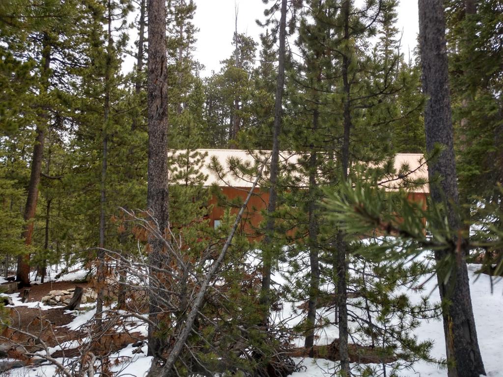 78 Dry Gulch Road Fairplay, CO 80440 - Photo 32 of 34 Gallery Image 32