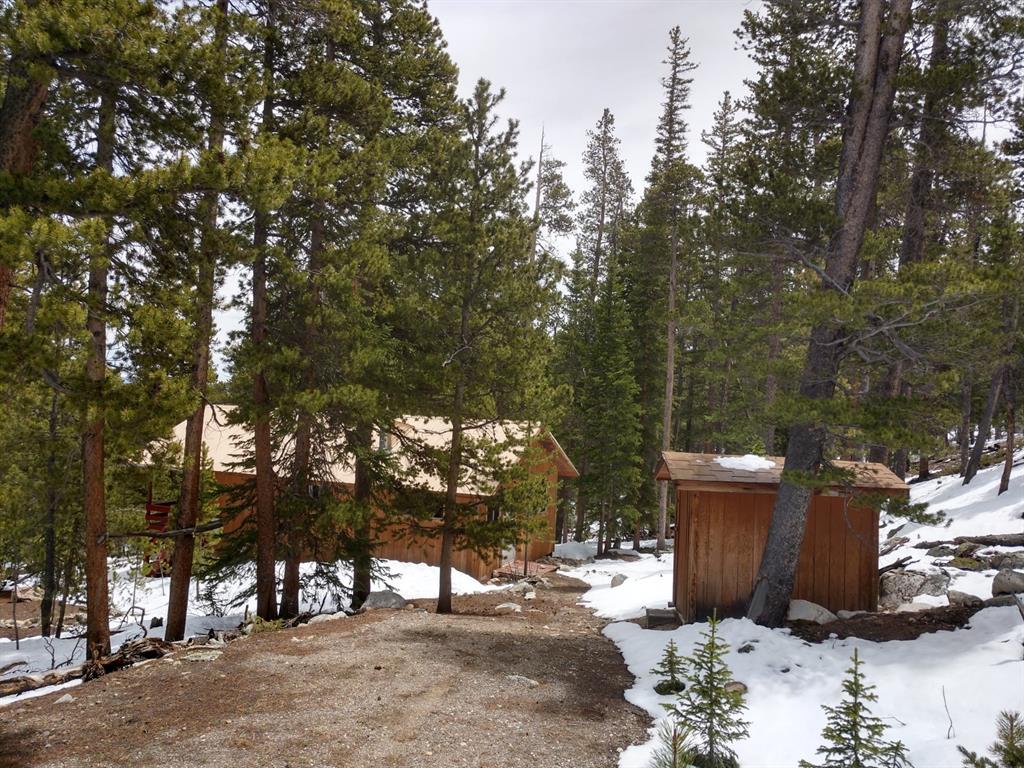 78 Dry Gulch Road Fairplay, CO 80440 - Photo 33 of 34 Gallery Image 33