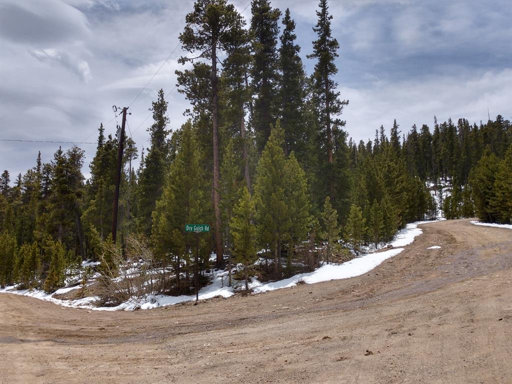 78 Dry Gulch Road Fairplay, CO 80440 - Photo 34 of 34 Gallery Image 34