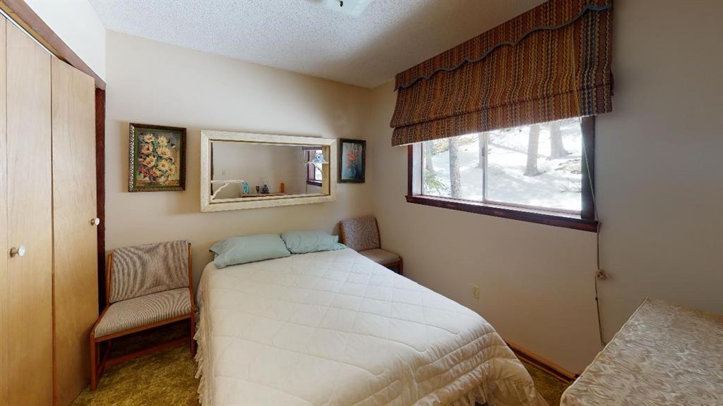 78 Dry Gulch Road Fairplay, CO 80440 - Photo 4 of 34 Gallery Image 4