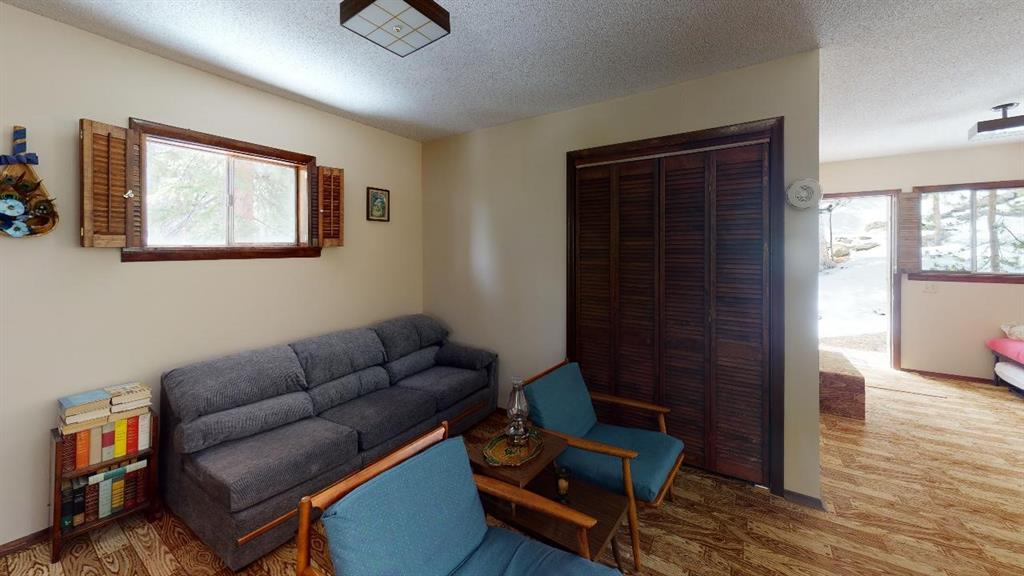 78 Dry Gulch Road Fairplay, CO 80440 - Photo 7 of 34 Gallery Image 7