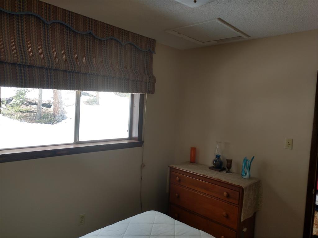 78 Dry Gulch Road Fairplay, CO 80440 - Photo 10 of 34 Gallery Image 10