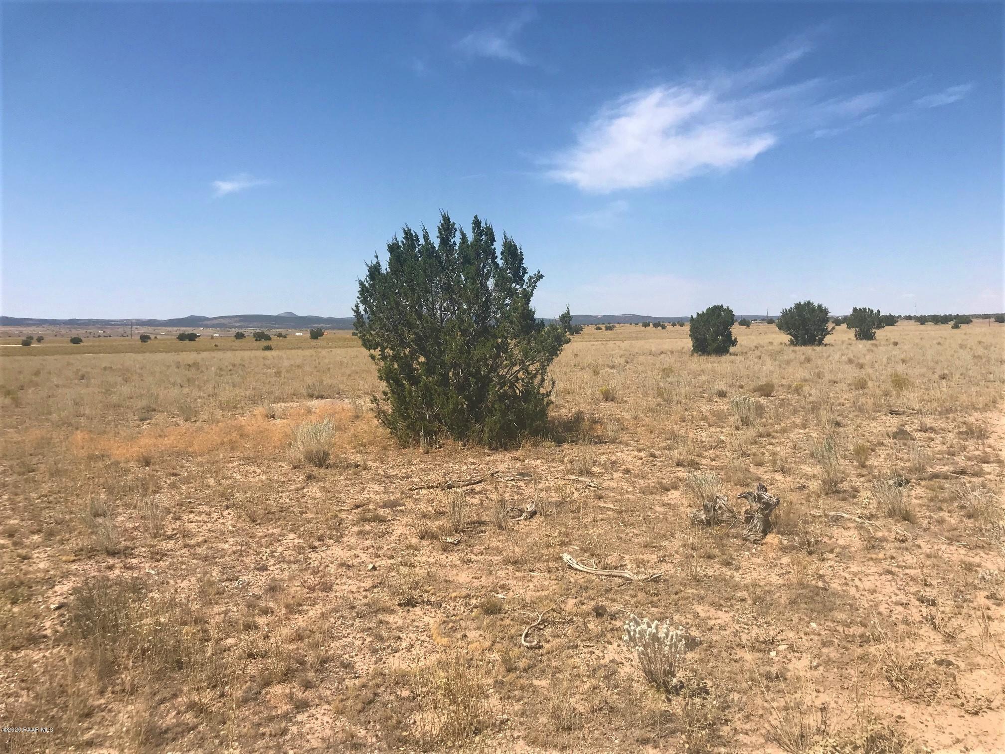 290 Arizona Road Ash Fork, AZ 86320 - Photo 13 of 13 IMG_0036