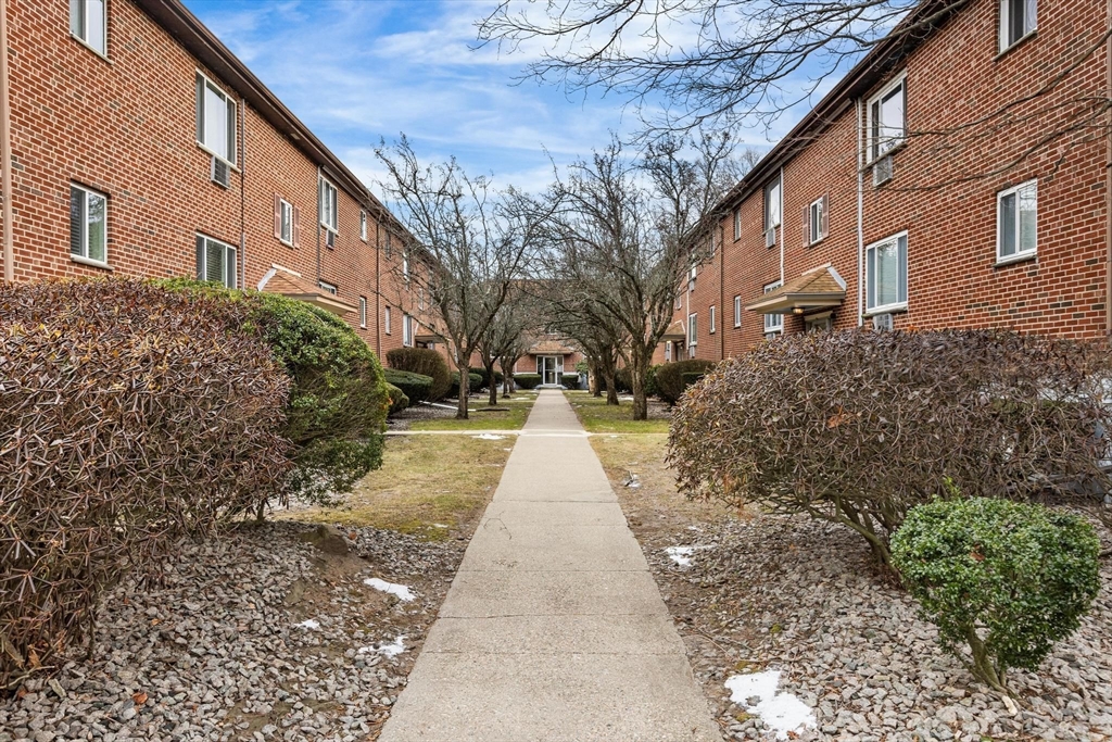 58 Bryon Road, Unit 6 Chestnut Hill, MA 02467 - Photo 8 of 10 Gallery Image 8