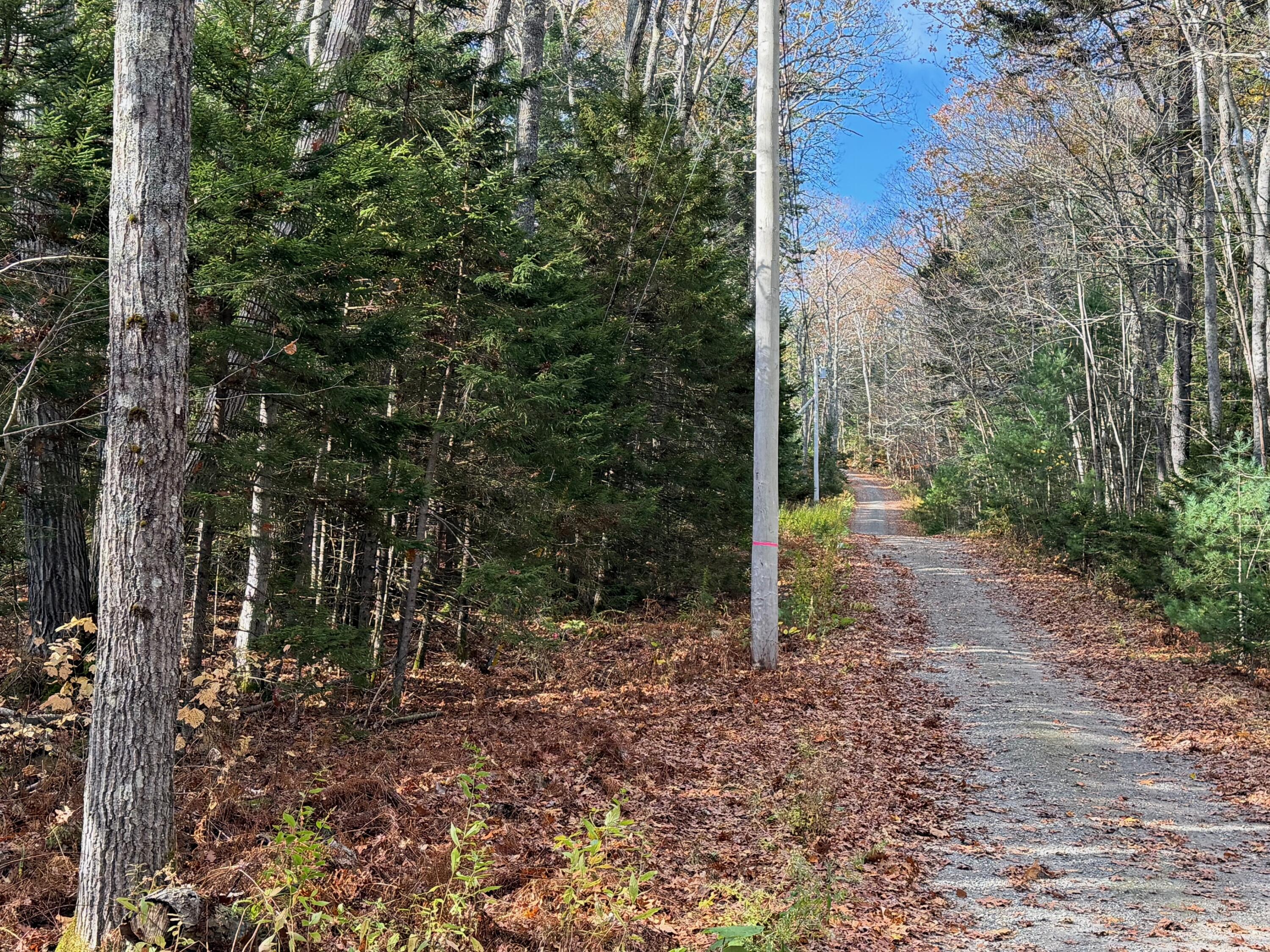 0 Lockhart Cv Road Pemaquid, ME 04558 - Photo 2 of 7
