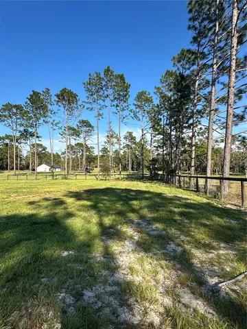 a view of a park with large trees