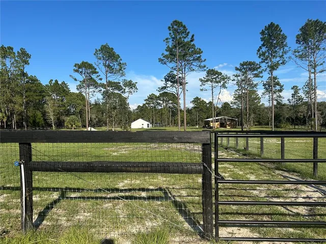 a view of a swimming pool with a garden