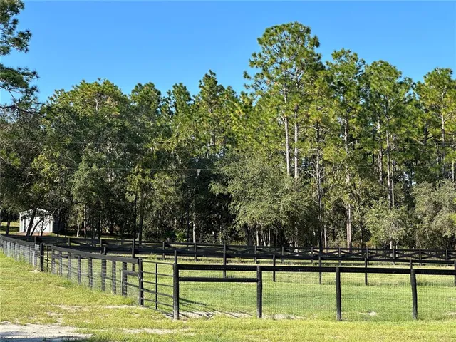 a view of swimming pool with trees
