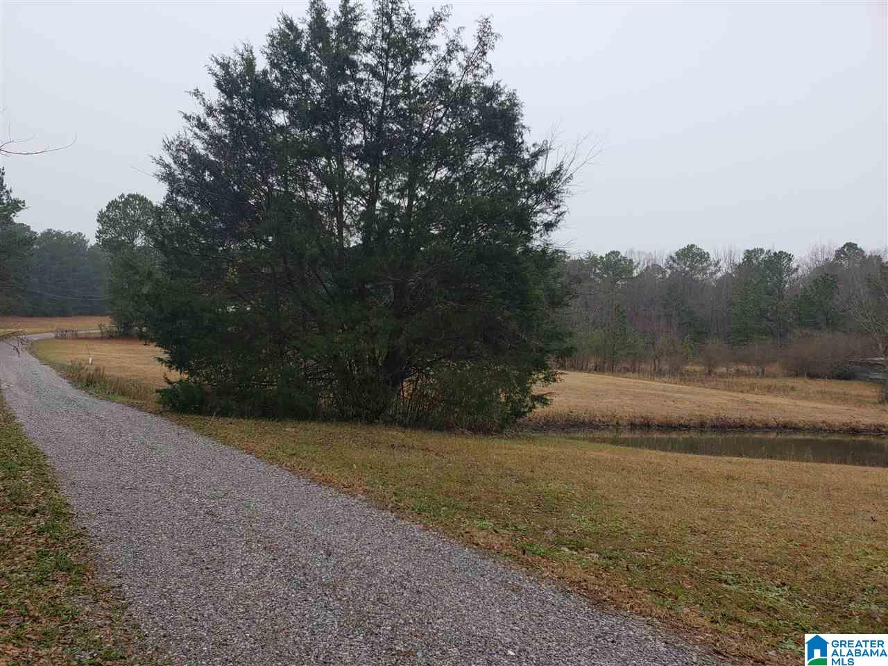 1715 County Road 33 Calera, AL 35040 - Photo 3 of 21