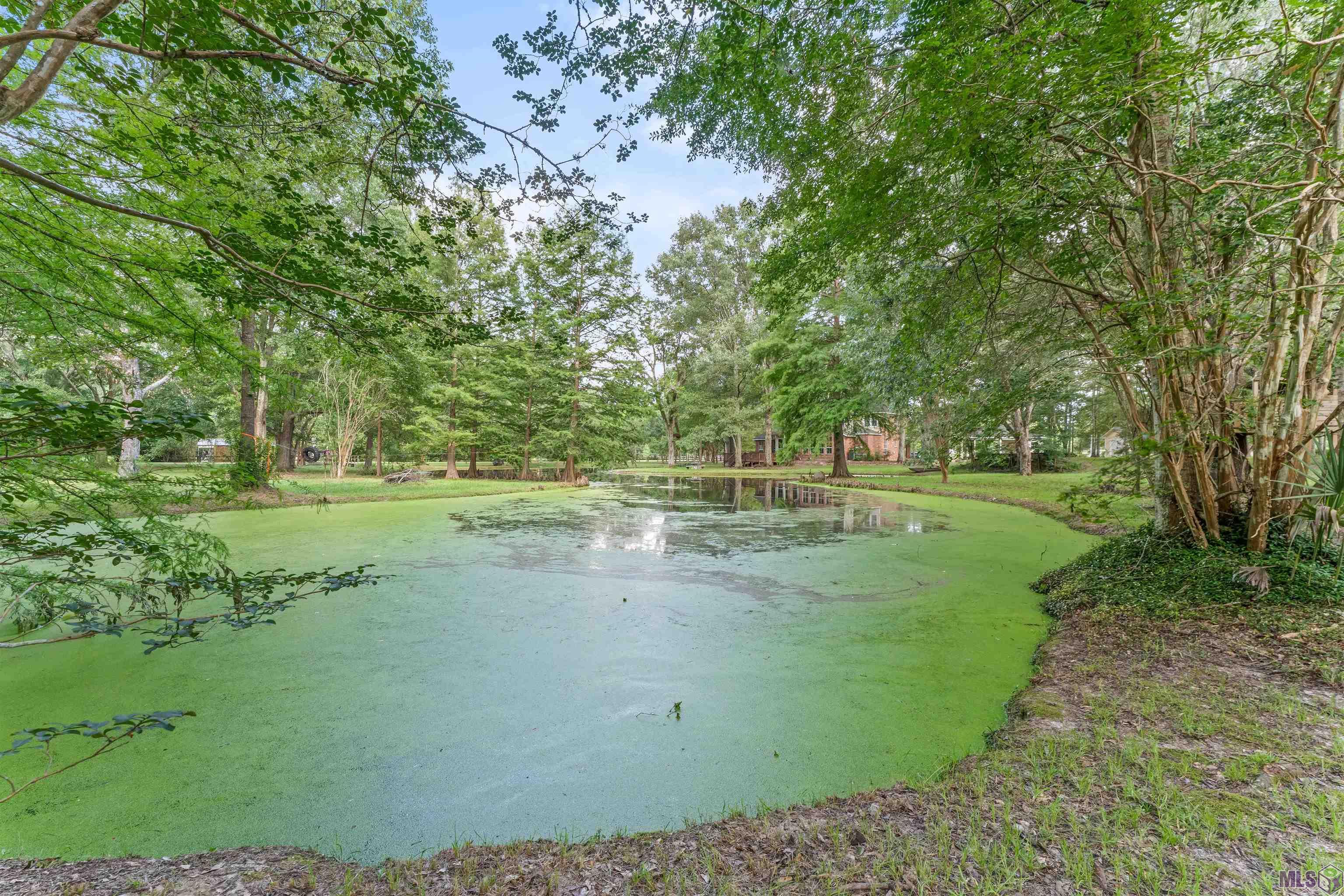 447 Sandy Springs Lane Jackson, LA 70748 - Photo 45 of 51