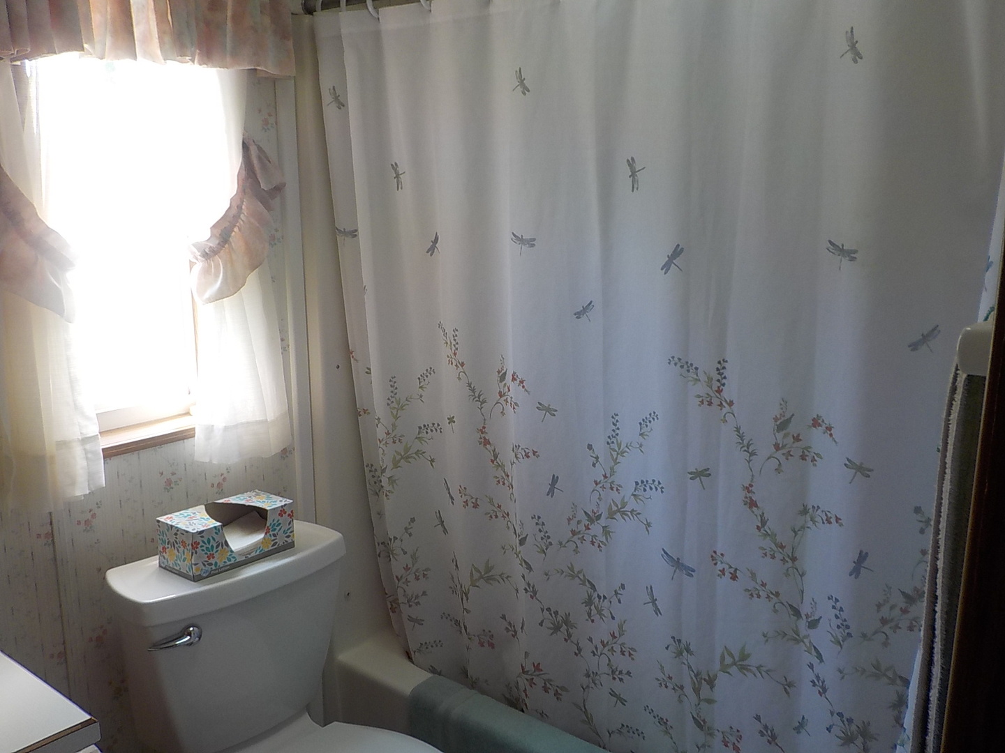 3006 Kane Road Leland, IL 60531 - Photo 19 of 21 a bathroom with a sink and toilet