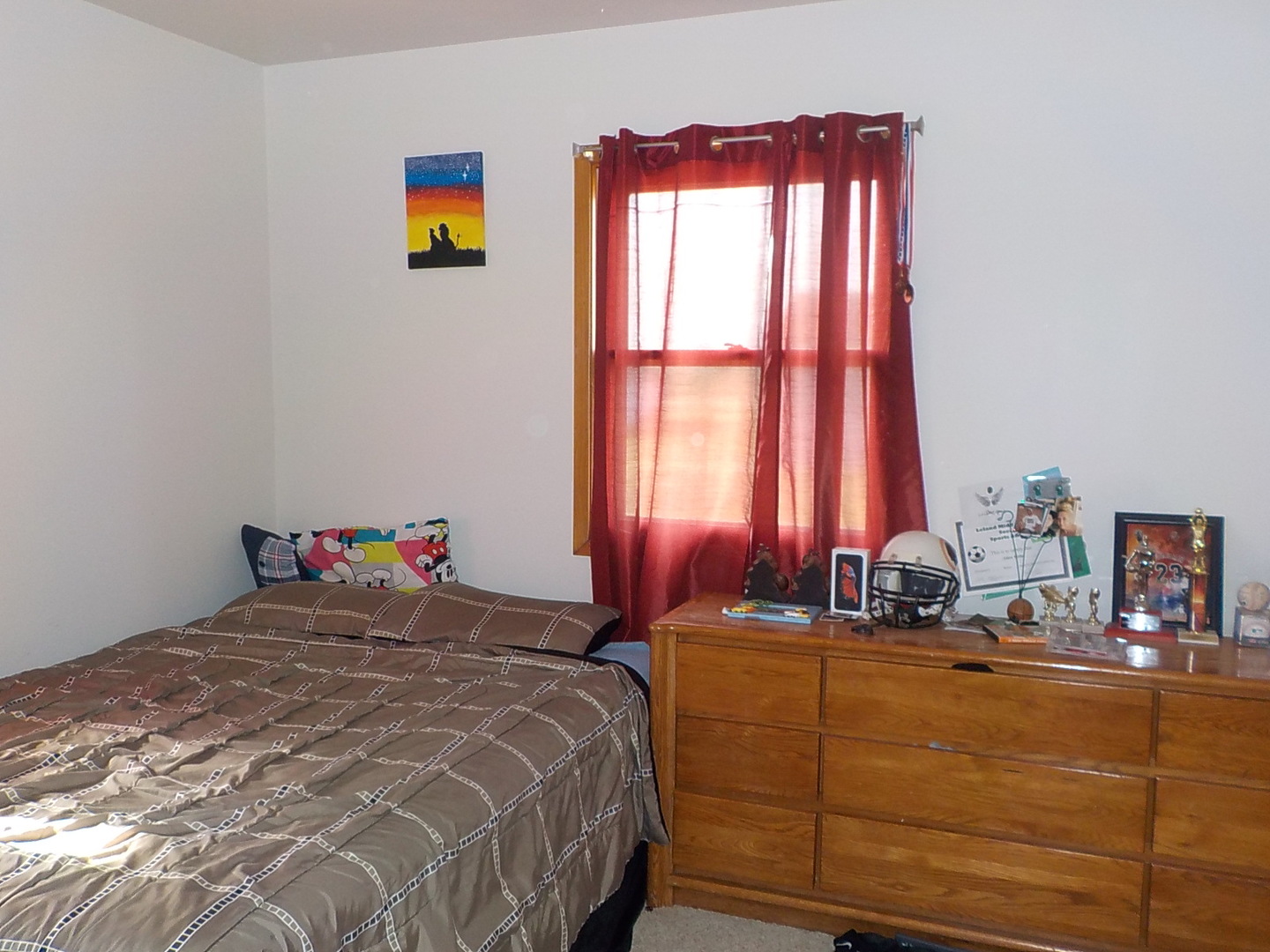 3006 Kane Road Leland, IL 60531 - Photo 20 of 21 a bedroom with a bed and a window