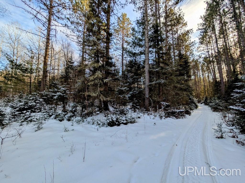 4500 Rd Watersmeet Mi 49969 Road Trout Creek, MI 49967 - Photo 13 of 17