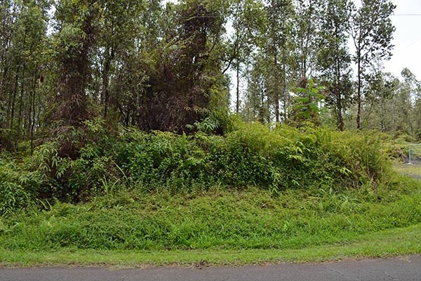 52 Seadrift Road, Unit 1 Pahoa, HI 96778 - Photo 3 of 16 Gallery Image 3