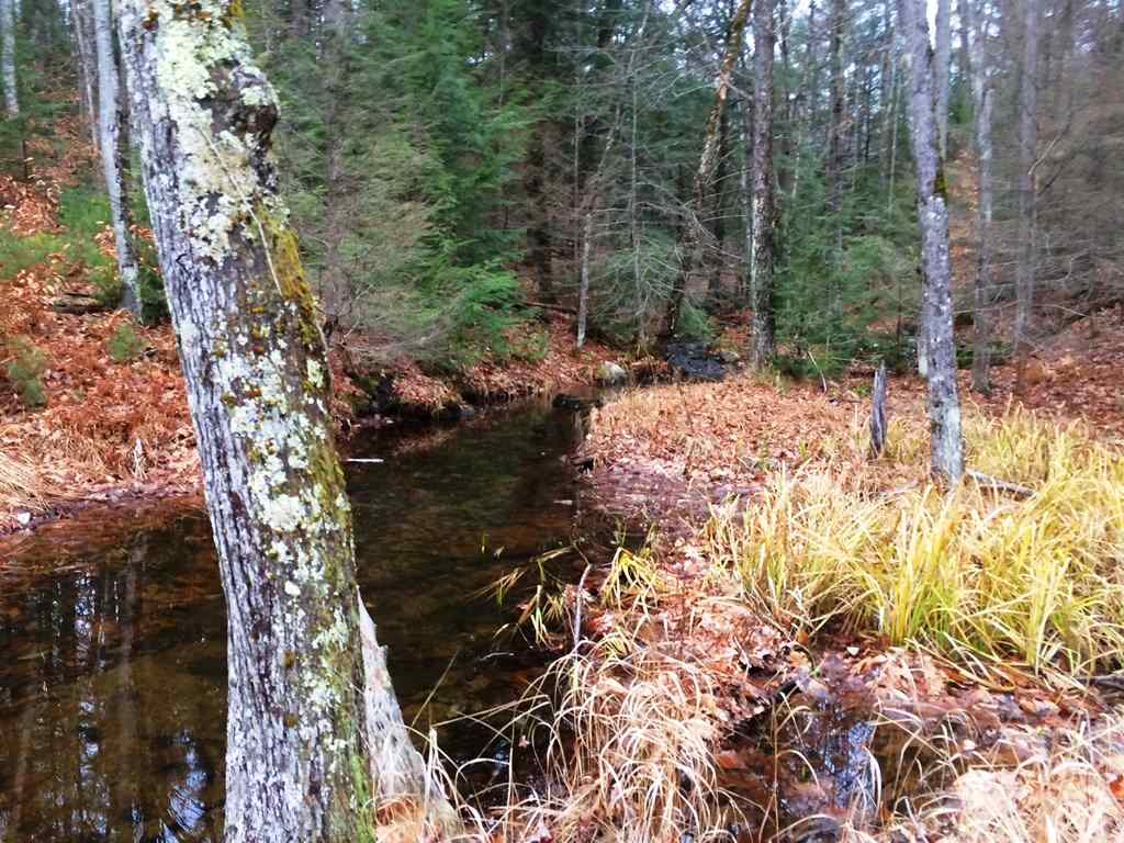 726 Salisbury Road Franklin, NH 03235 - Photo 3 of 20
