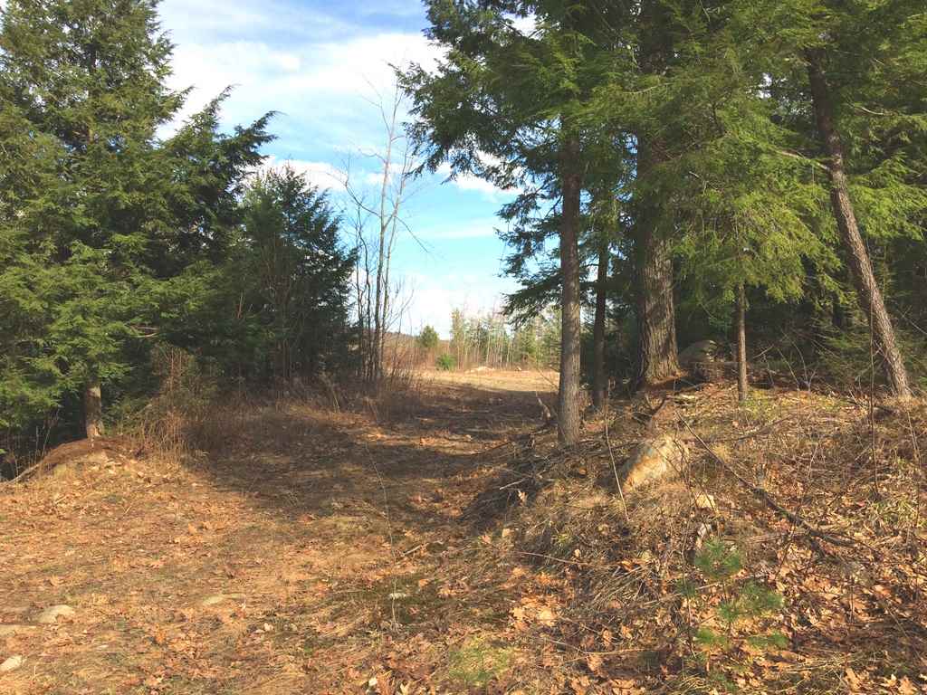 726 Salisbury Road Franklin, NH 03235 - Photo 5 of 20