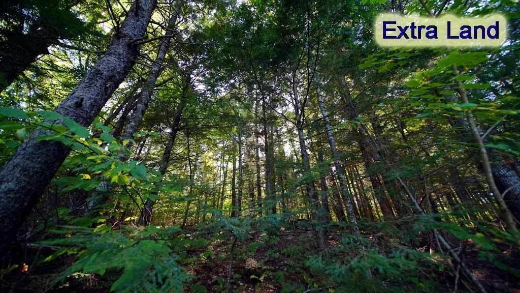 354 Sandy Beach Road Danforth, ME 04424 - Photo 15 of 43 extra-land-maine-waterfront