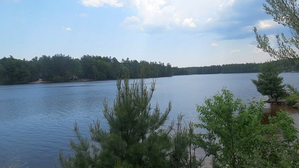 74 Lakeshore Drive Ashburnham, MA 01430 - Photo 24 of 27 a view of a lake from a yard