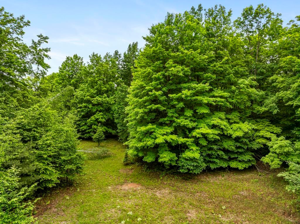 9782 Walters Road Onaway, MI 49765 - Photo 9 of 34
