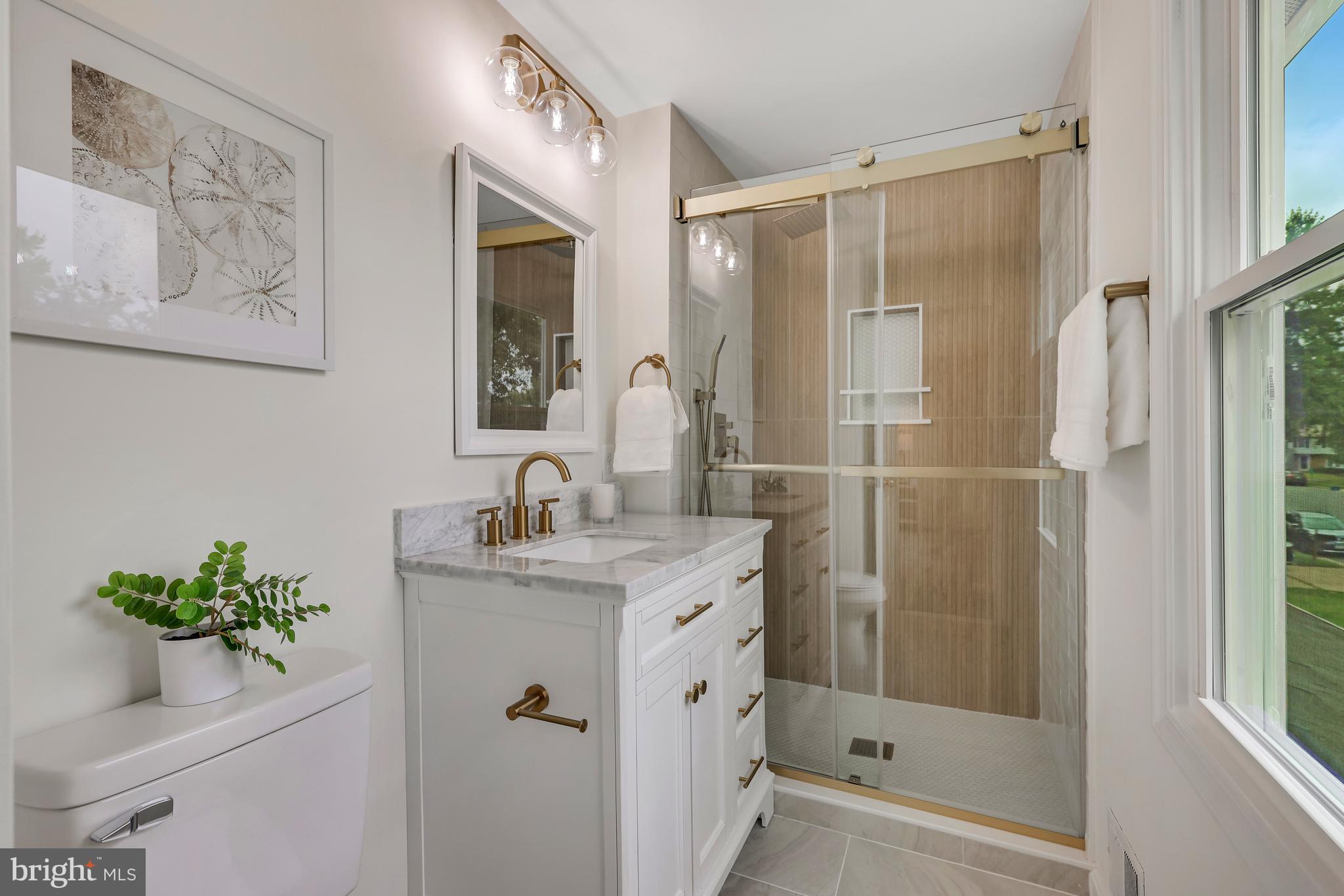 5481 Braddock Ridge Drive Centreville, VA 20120 - Photo 37 of 67 Primary bath