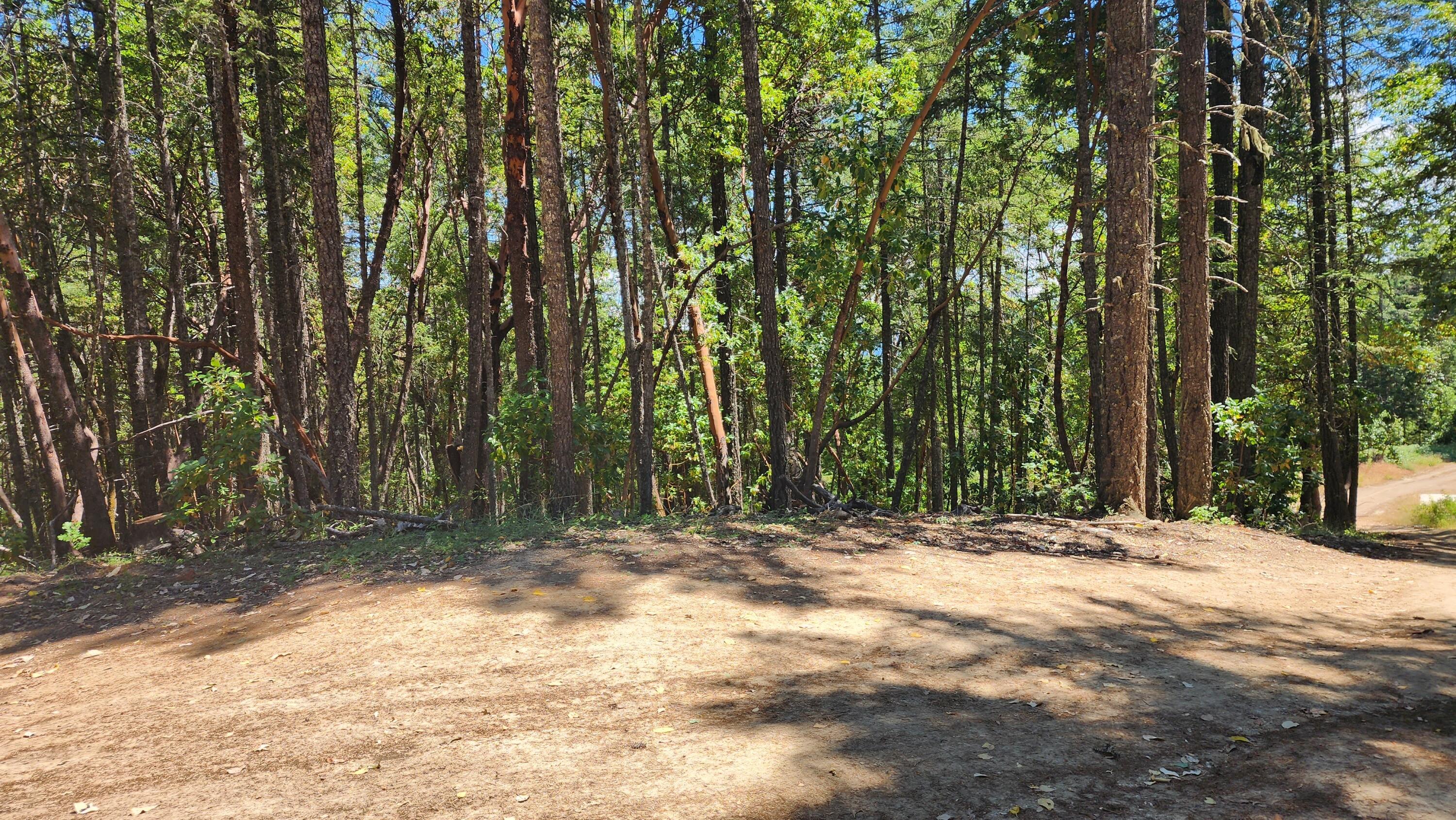 0 Quartz Creek Road, Unit TL 500 Merlin, OR 97532 - Photo 5 of 10 20230622_141813