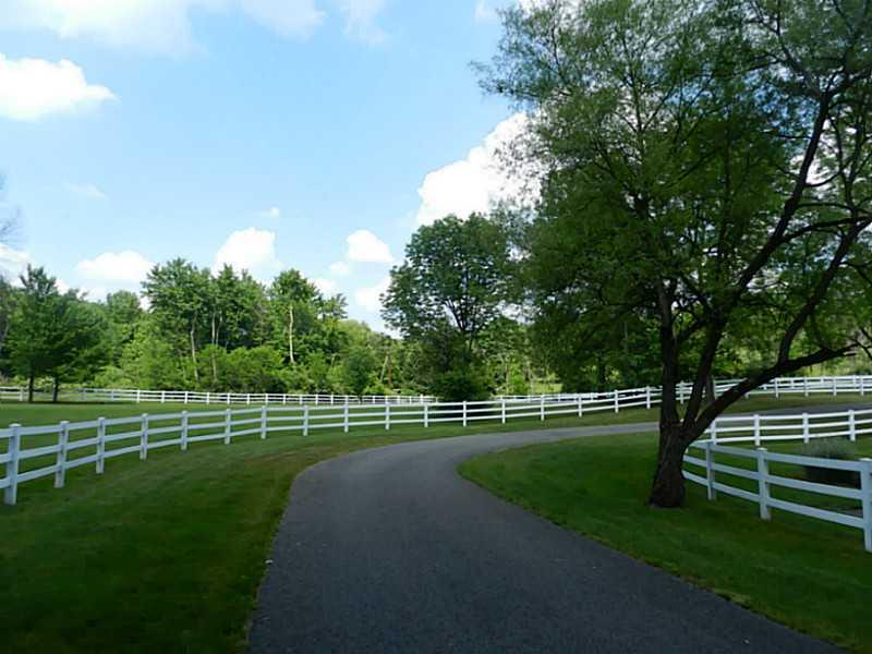 2319 Snake Run Road Wampum, PA 16157 - Photo 4 of 23 Land.