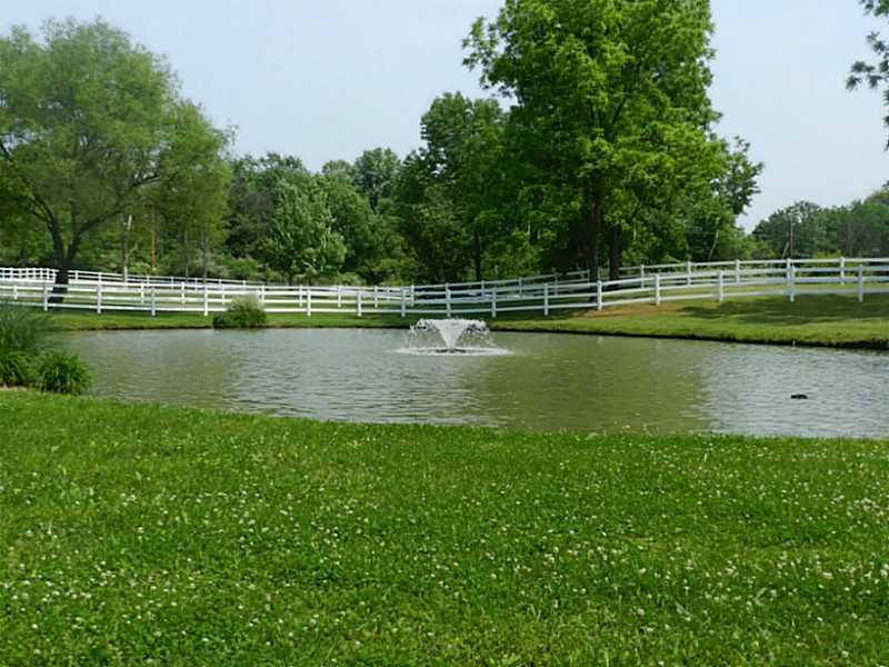 2319 Snake Run Road Wampum, PA 16157 - Photo 7 of 23 Other.