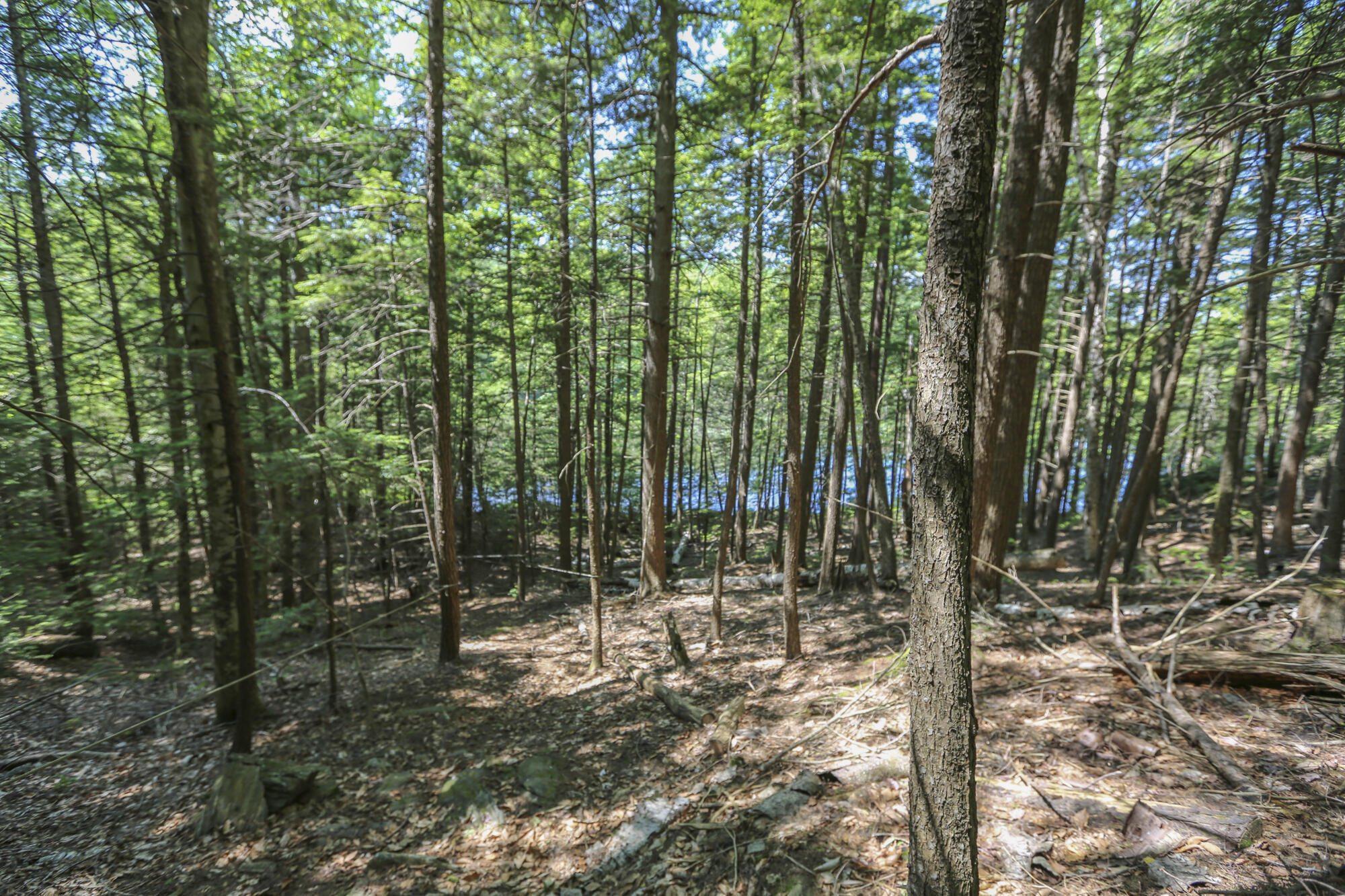 23 Merrifield Road Liberty, ME 04949 - Photo 29 of 37 23MerrifieldRdLiberty5-8