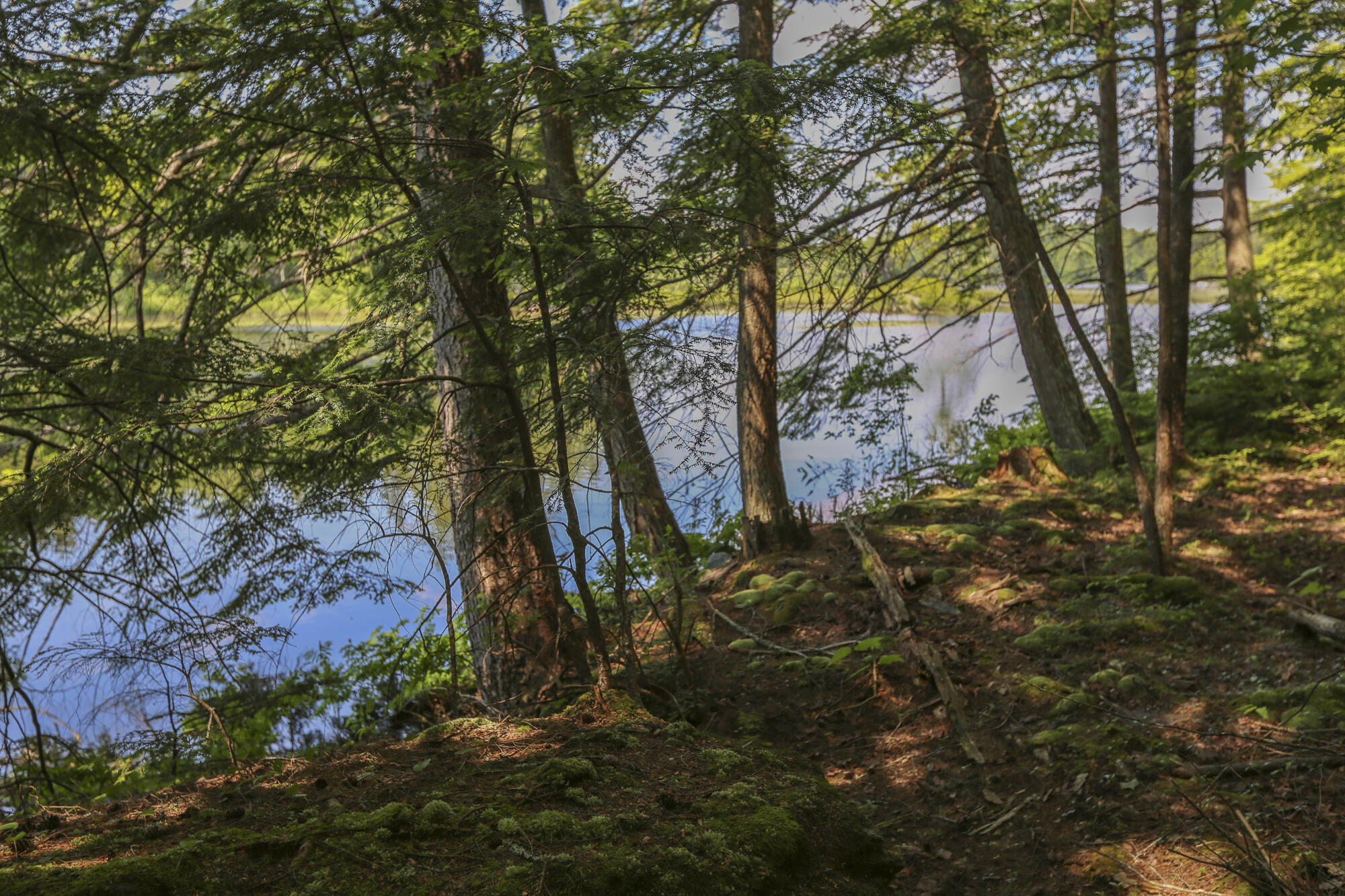 23 Merrifield Road Liberty, ME 04949 - Photo 30 of 37 23MerrifieldRdLiberty5-2