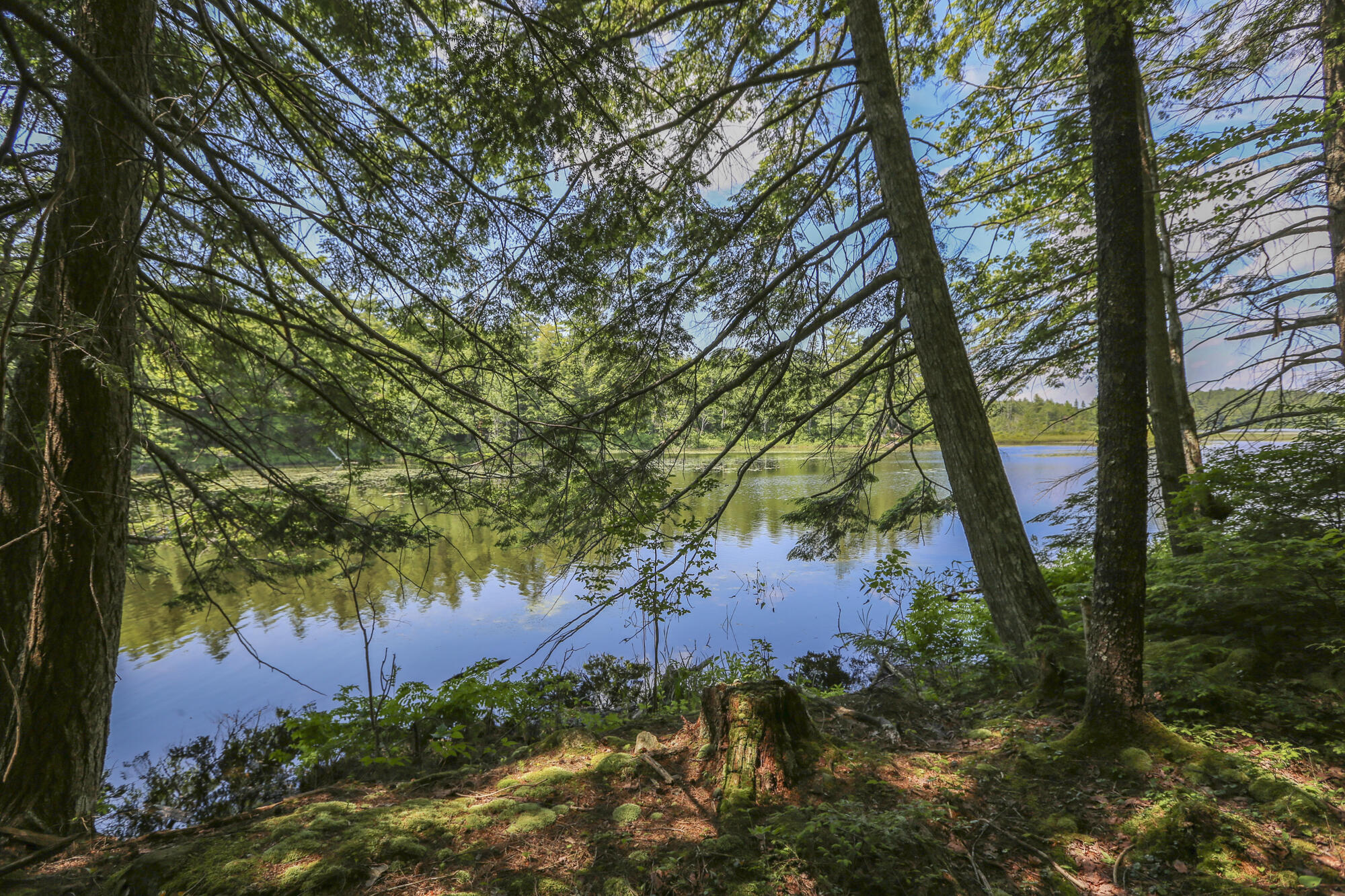 23 Merrifield Road Liberty, ME 04949 - Photo 31 of 37 23MerrifieldRdLiberty5-4