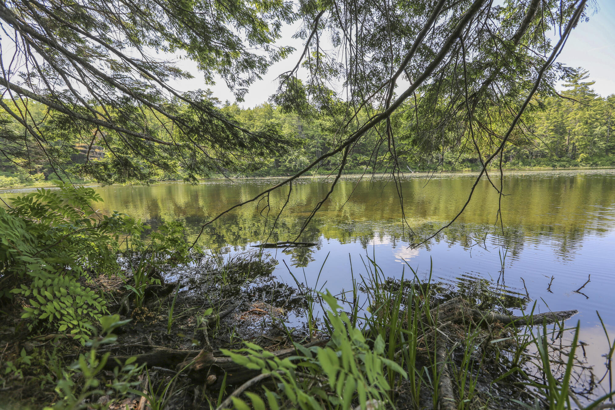 23 Merrifield Road Liberty, ME 04949 - Photo 32 of 37 23MerrifieldRdLiberty5-7