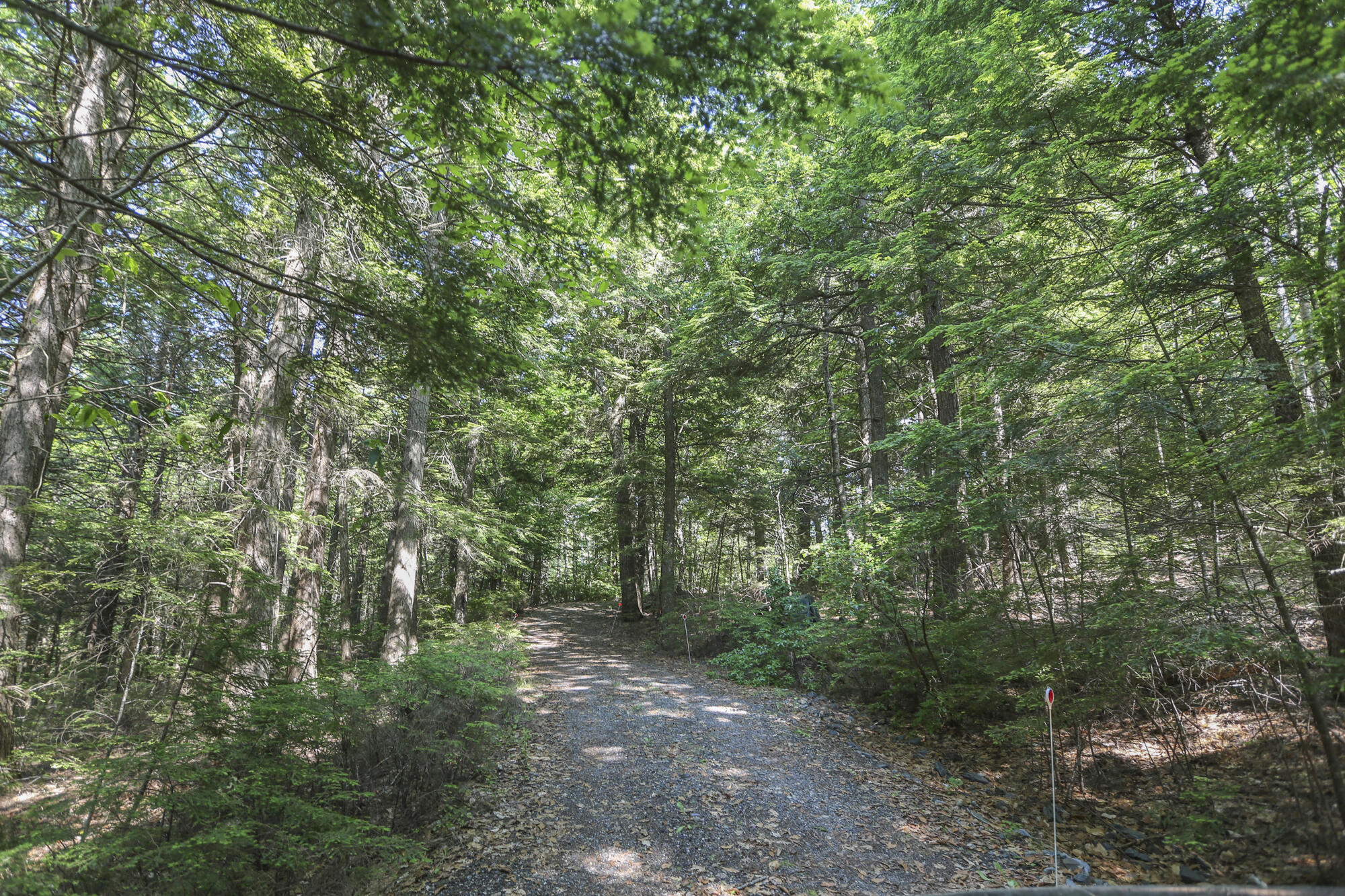 23 Merrifield Road Liberty, ME 04949 - Photo 5 of 37 23MerrifieldRdLiberty5-44