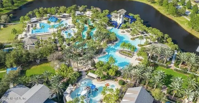 a picture of flowers