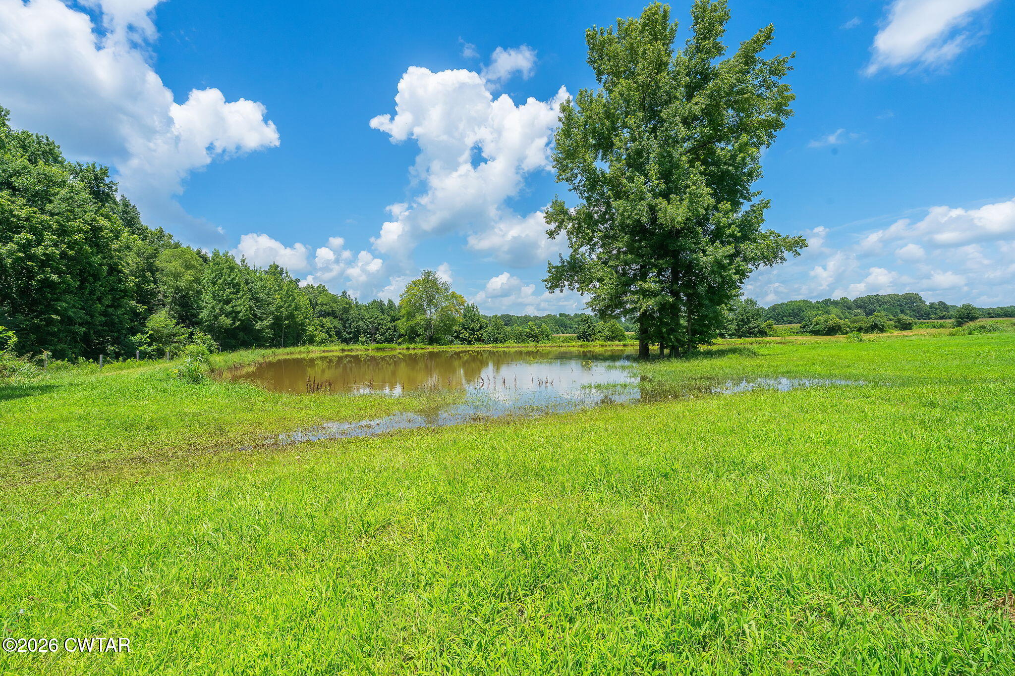 115 Spring Creek Law Road Jackson, TN 38305 - Photo 9 of 56 Kelly-38