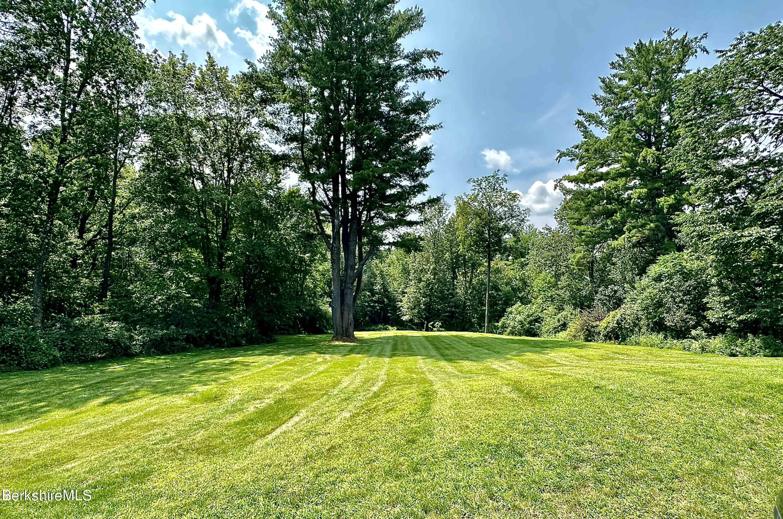 46 White Barn Road Copake, NY 12516 - Photo 18 of 20 yard