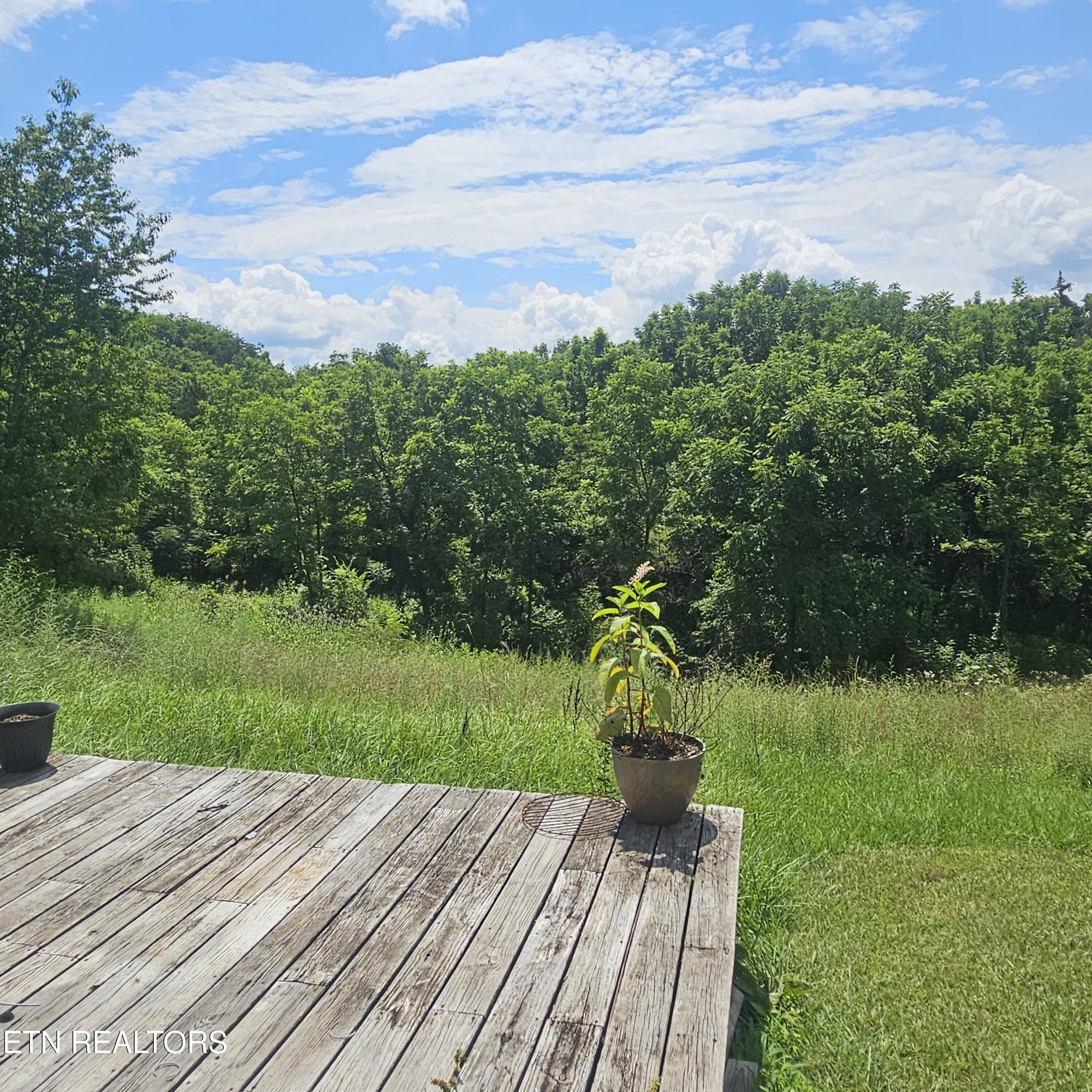 121 Harness Road New Tazewell, TN 37825 - Photo 47 of 59 20260709_121609